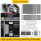 PANDAFLY Drawing Sketching Pencil Set, 22 Piece Pro Art Pencil Kit - Graphite Pencils (12B-2H), Black and White Charcoal Pencils, Charcoal Sticks, Stumps, Eraser, Sharpeners