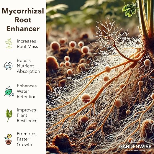Organic Liquid Plant Food for Indoor Houseplants – All Purpose Fertilizer for Potted Plants, Vegetables, Succulents, Orchids, Roses – Miracle Growth with Mycorrhizae (16 oz)