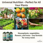 Organic Liquid Plant Food for Indoor Houseplants – All Purpose Fertilizer for Potted Plants, Vegetables, Succulents, Orchids, Roses – Miracle Growth with Mycorrhizae (8 oz)
