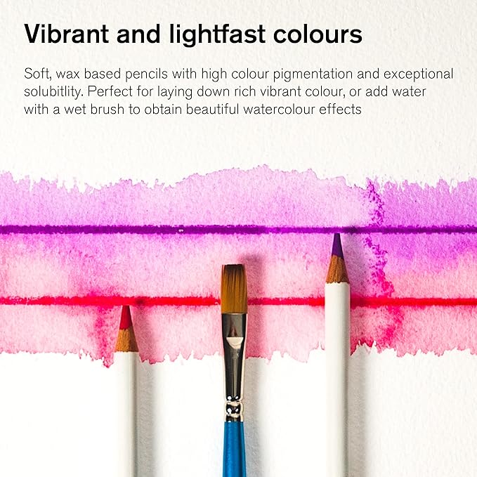 Winsor & Newton Studio Collection Artist Pencils, Watercolor Pencils, Set of 24