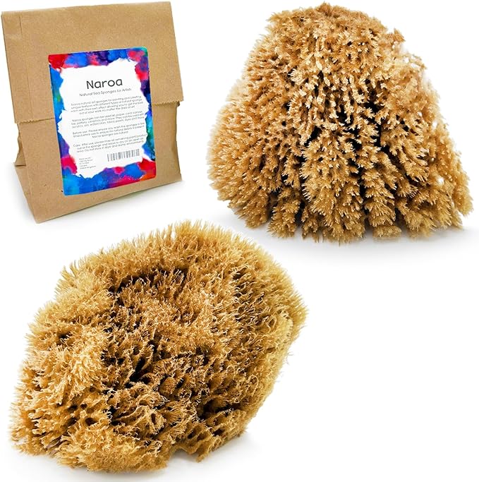NAROA Natural Artist Sea Sponges for Painting 2 Pack | Large Art Tools for Decorating, Marbling, Sponging, Texturing and Crafts | Great for Artists & Children