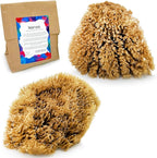 NAROA Natural Artist Sea Sponges for Painting 2 Pack | Large Art Tools for Decorating, Marbling, Sponging, Texturing and Crafts | Great for Artists & Children