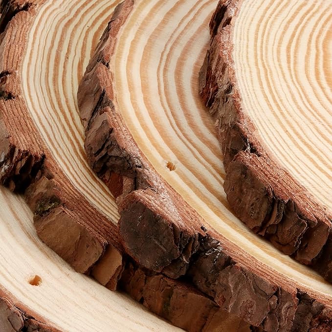 JEUIHAU 10 PCS 6.7-7 Inches Natural Wood Slices with Holes, Unfinished Predrilled Wooden Circles Tree Bark Slice, Blank Wooden Log Circles for DIY Crafts, Arts Wood Slices, Christmas Ornaments