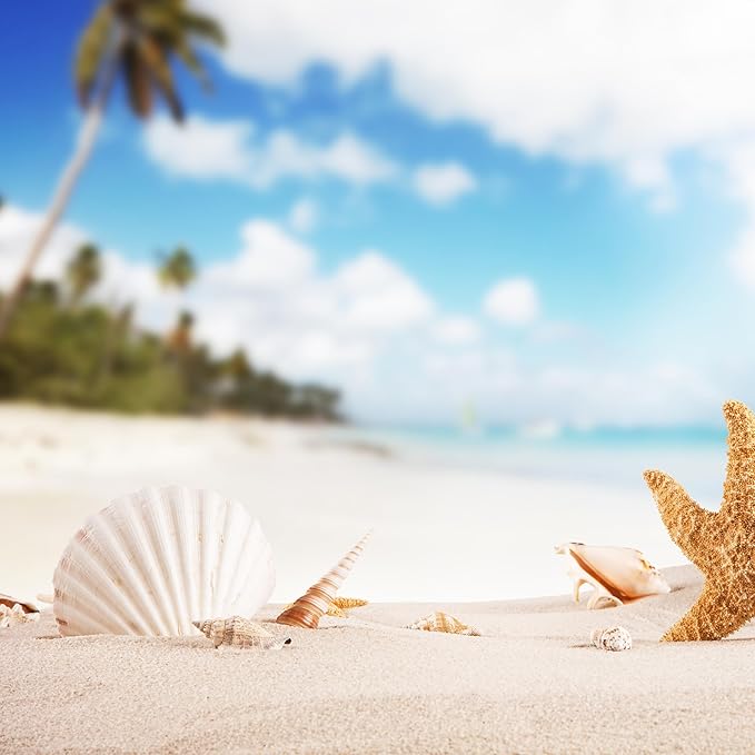 20PCS Scallop Shells Crafts 4''-5'' Large Beach Natural Scallop Shells, for Baking Shells, Crafts DIY Painting Beaching Wedding Decoration