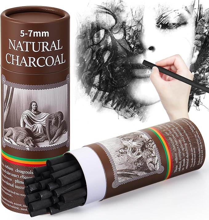 Gueevin 50 Pcs Willow Charcoal Sticks, Willow Charcoal, Artists, Beginners, Students, Perfect for Sketching, Drawing, Shading, and Fine Art Christmas Gifts for Art (5-7mm)