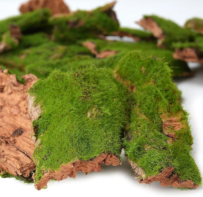 BYHER Assorted Artificial Moss Bark, Decorative Mossy Tree Bark for DIY Crafts, Fairy Gardens, Terrariums, Floral Arrangements (Realistic Green - 100gr)