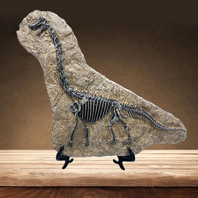 XINDAM Resin Brachiosaurus Dinosaur Fossil Statue Model Simulated Skeleton Home Office Display Decorative Craft Box Decoration (Style 7)