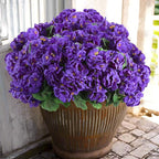 Hananona Artificial Geranium Flowers for Outdoors Geranium Silk Flowers Outdoor UV Resistant Garden Plants Faux Flowers for Home Kitchen Table Centerpieces Decor (12, Purple)
