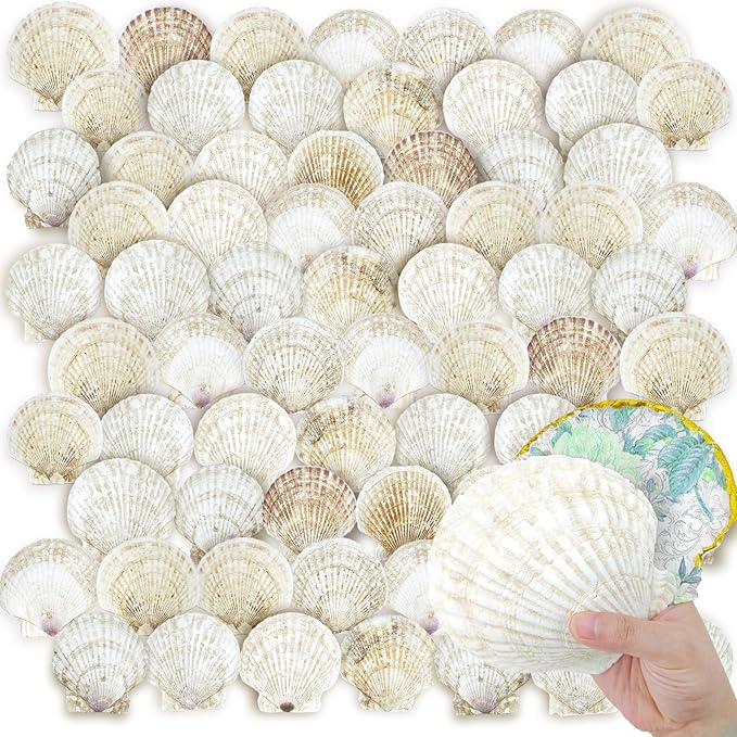 YOUKE OLA 72PCS Scallop Shells for Crafts Large Beach Natural Shells Bulk for Decoupage DIY Crafts Seashell Decorations Home Decor White 4''-4.5''