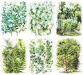 120Pcs Forest PET Scrapbook Stickers Botanical Designs for Scrapbooking Waterproof Journaling Supplies Junk Journal Ephemera with Storage Organizer
