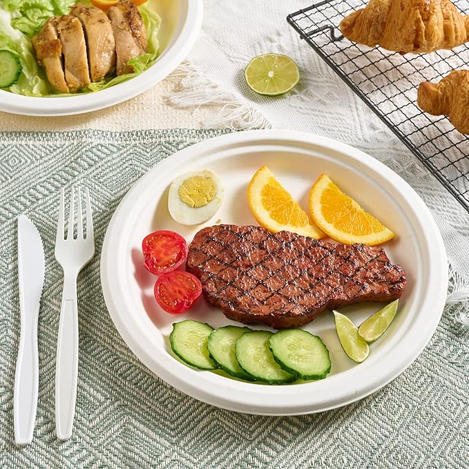 Vplus 500 Pack Paper Plates 9 inch 100% Compostable, Heavy-Duty Disposable Paper Plates Bagasse Natural Biodegradable Eco-Friendly Sugarcane（White）