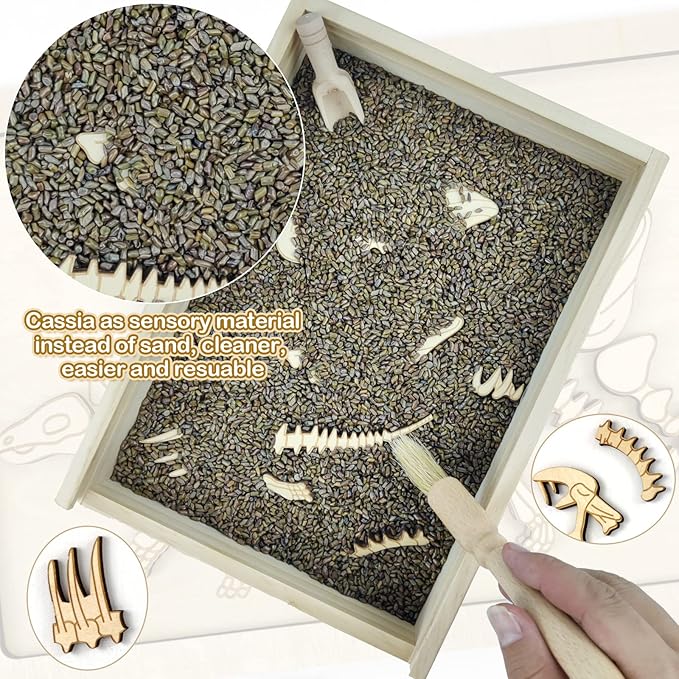 Dinosaur Excavation Archaeology Dig Kit for Kids, Fossil Explore Sensory Bin Toys, Dino Skeletons Bones Puzzle Game, Archaeology Science STEM Toys for Boys and Girls (Stegosaurus)