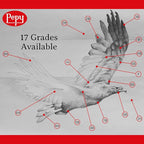 Pepy Graphite Professional Drawing Pencils - Set of 12 2H Pre-Sharpened Black Lead Pencils; Perfect for Drawing, Sketching and Shading, Graphic and Fine Art