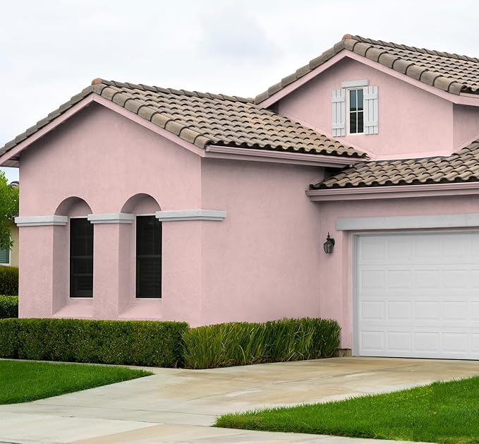 EVOLVE Paint & Primer: Environment-friendly, Low Sheen with One-coat Coverage for Interior & Exterior surfaces (Posy Pink, 1-Gallon)