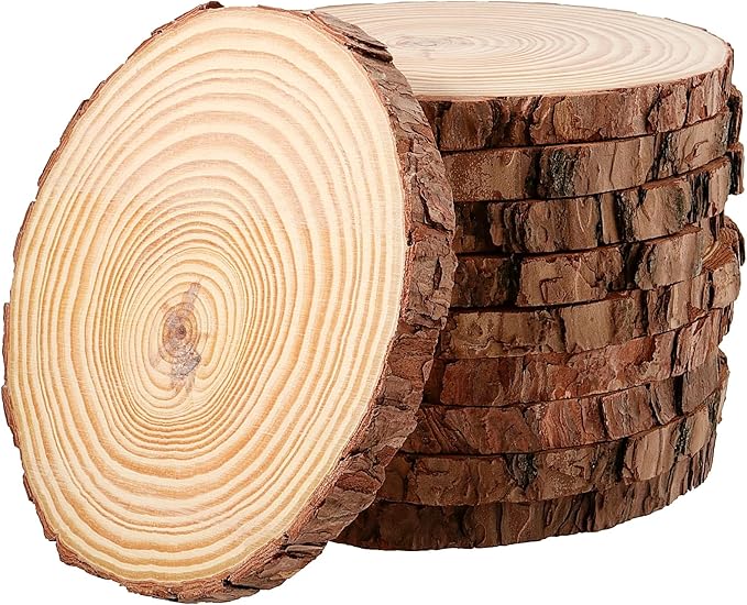 JEUIHAU 10 PCS 5.9-6.3 Inches Natural Unfinished Wood Slices, Round Wooden Tree Bark Discs, Wooden Circles for DIY Crafts, Christmas, Rustic Wedding Ornaments