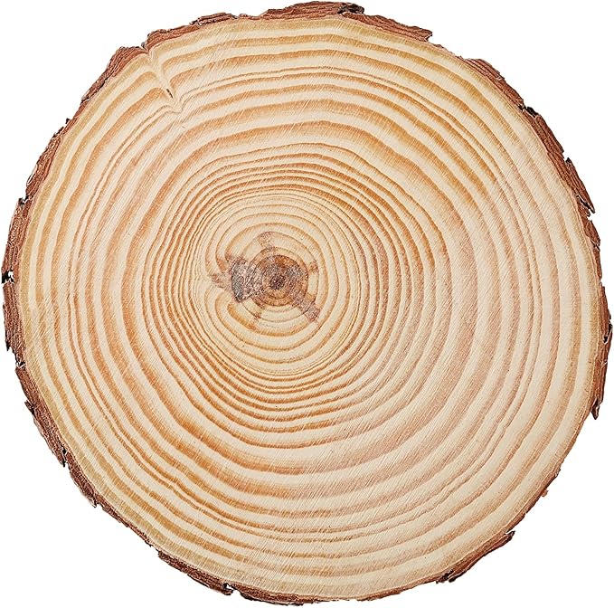 JEUIHAU 10 PCS 5.9-6.3 Inches Natural Unfinished Wood Slices, Round Wooden Tree Bark Discs, Wooden Circles for DIY Crafts, Christmas, Rustic Wedding Ornaments