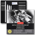 PANDAFLY Drawing Sketching Pencil Set, 22 Piece Pro Art Pencil Kit - Graphite Pencils (12B-2H), Black and White Charcoal Pencils, Charcoal Sticks, Stumps, Eraser, Sharpeners