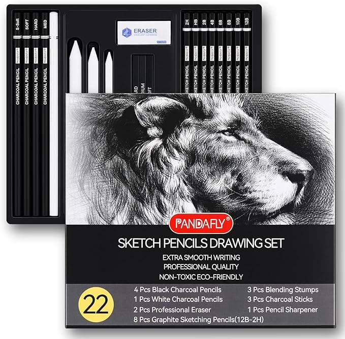 PANDAFLY Drawing Sketching Pencil Set, 22 Piece Pro Art Pencil Kit - Graphite Pencils (12B-2H), Black and White Charcoal Pencils, Charcoal Sticks, Stumps, Eraser, Sharpeners