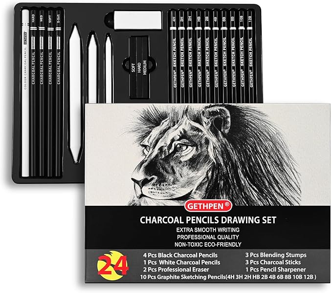 Drawing Sketching Pencil Set, 24 Piece Pro Artist Sketch Kit - Graphite Pencils (12B-4H),Charcoal Pencils for Drawing,Black and White Charcoal Pencils,Charcoal Sticks,Stumps,Eraser,Sharpeners
