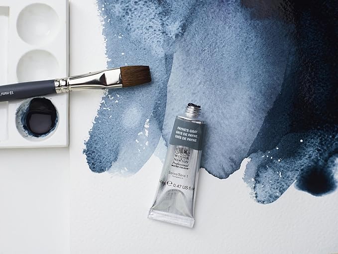 Winsor & Newton Professional Water Colour Paint, Half Pan, Indian Red