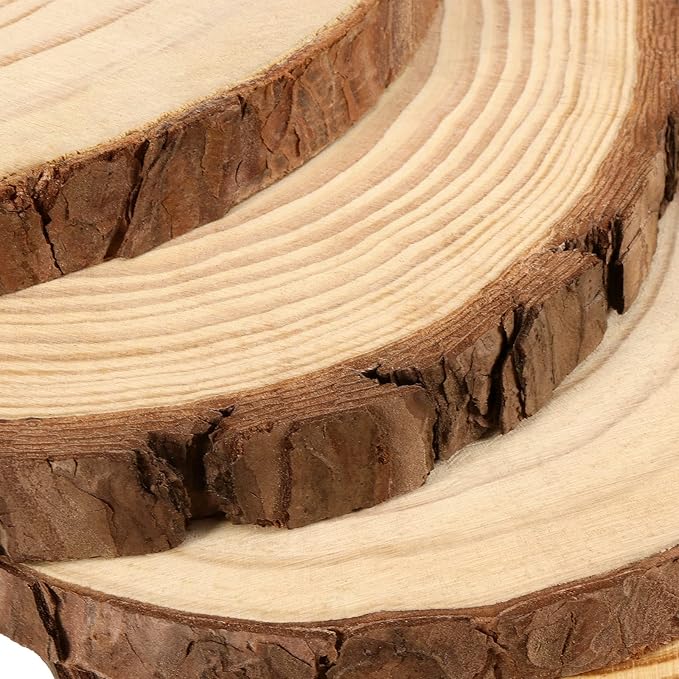JEUIHAU 6 PCS 8-10 Inches Natural Unfinished Wood Slices, Round Wooden Tree Bark Discs, Wooden Circles for DIY Crafts, Christmas, Rustic Wedding Ornaments