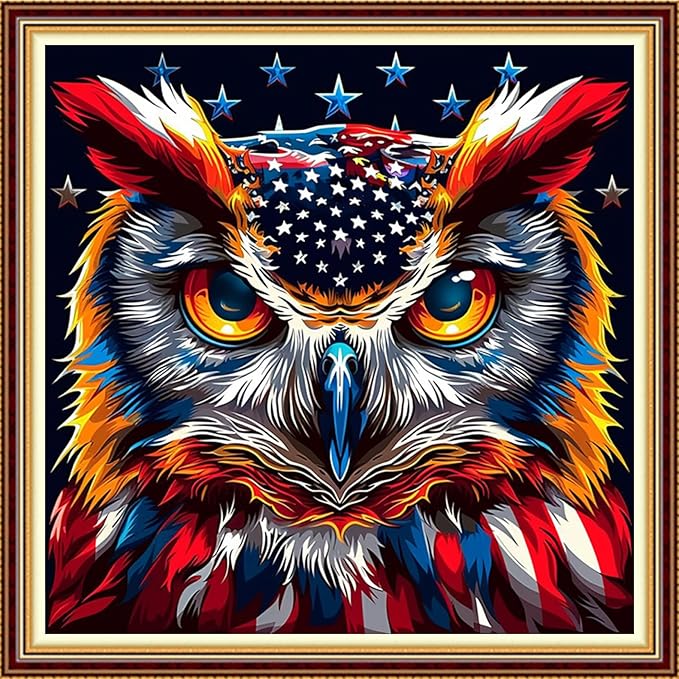 Funchey Stamped Cross Stitch Kits, DIY Cross Stitch Pattern for Adults Beginners Needlepoint Kits Embroidery Kit Arts and Crafts 11CT-National Flag Owl 18x18 inchs