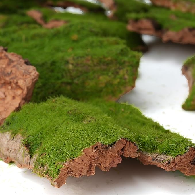 BYHER Assorted Artificial Moss Bark, Decorative Mossy Tree Bark for DIY Crafts, Fairy Gardens, Terrariums, Floral Arrangements (Realistic Green - 100gr)