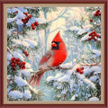 DMCXART Counted Cross Stitch Kits for Adults Needlepoint Kits Unprinted Cross Stitching Embroidery Kit 11CT Cross Stitch Supplies-Colorful Little Bird Snow Scene 18x18 inch