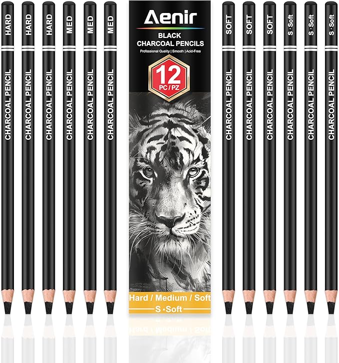 Charcoal Pencils for drawing, Set of 12, Charcoal Drawing Pencils (S-Soft, Soft, Medium, Hard), Art Supplies for Artist, Sketching, Shading