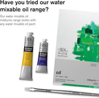 Winsor & Newton Artisan Water Mixable Painting Medium, 75ml