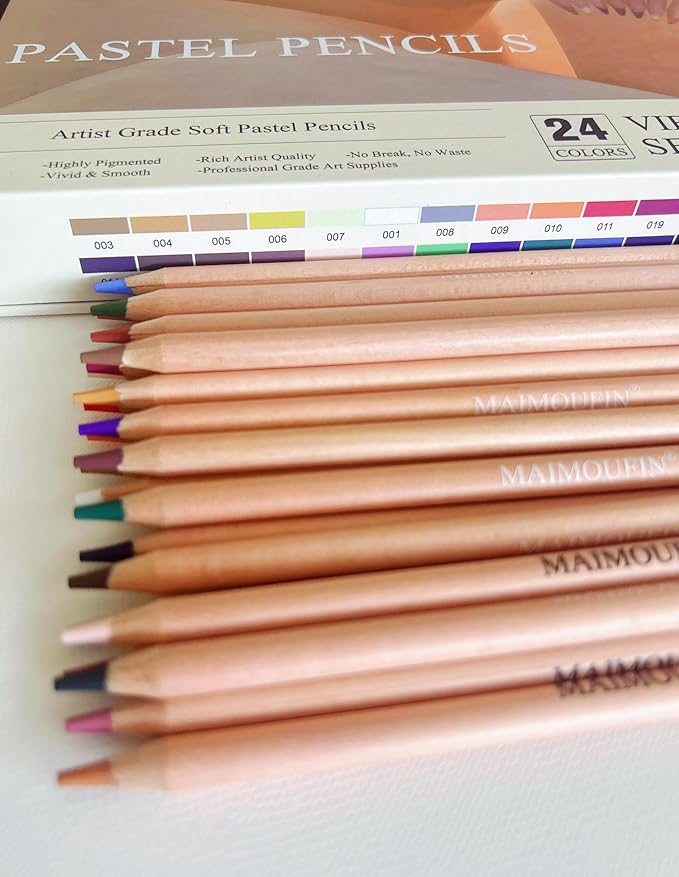 Soft Pastel Pencils 24 Colors Vibrant Drawing Pencil Set Professional Grade Pastels Art Supplies for Drawing Sketching Coloring (Not Oil-Based)(Brown)