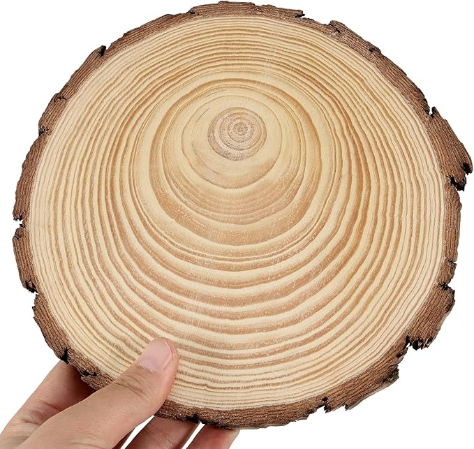 JEUIHAU 8 PCS 7-7.9 Inches Natural Unfinished Wood Slices, Round Wooden Tree Bark Discs, Wooden Circles for DIY Crafts, Christmas, Rustic Wedding Ornaments