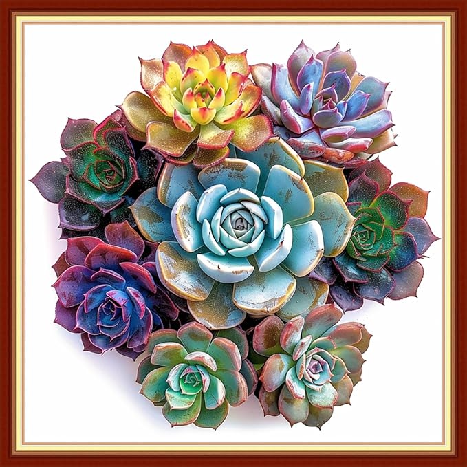 Dimensean Stamped Cross Stitch Kits Full Range of Embroidery Patterns Starter Kits for Beginners Adult or Kids DIY Cross Stitches Needlepoint Kits 11CT-Succulent Plants 18x18 inch