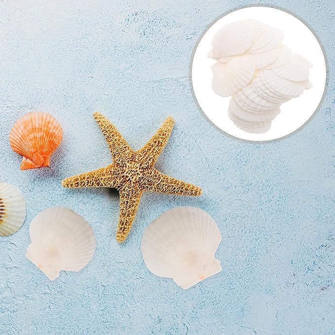 GLEAVI Scallop Shells for Crafts: 21pcs Natural Scallop Shells Bulk 3.14 Inch Sea Shell Decoration for Ocean Themed Parties and Home Decor