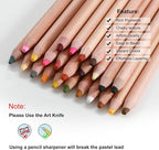 KALOUR Pro Pastel Chalk Colored Pencils,24 Colors portrait set,Color Charcoal Pencils for Drawing Sketching Coloring Shading,Art Supplies for Adults Artists