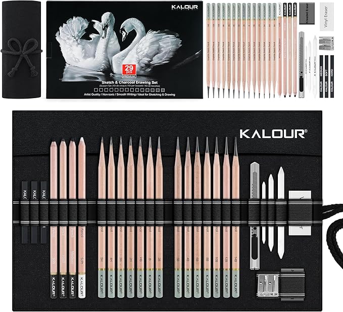 KALOUR 29 Pro Sketching Drawing Pencils Set with Roll-Up Nylon Case – 14 Graphite Pencils (14B–5H), Charcoal Pencils, Erasers, Sharpener & Stumps – Complete Art Kit for Artists & Beginner