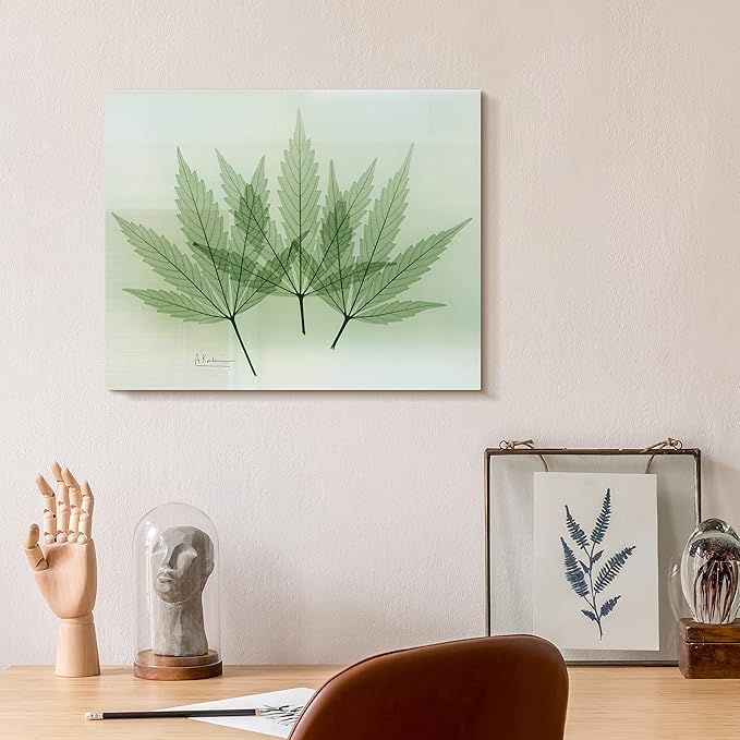 Empire Art Direct Frameless Free Floating Tempered Glass Panel Graphic Wall Art Ready to Hang, 16" x 20", Green Flower