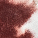 Winsor & Newton Professional Water Colour Paint, Half Pan, Caput Mortuum Violet