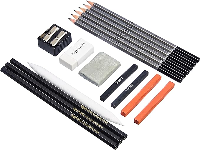 Amazon Basics Sketch and Drawing Pencil Set, 816 Count (17 Packs of 48), Charcoal, Black, White