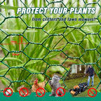 16.4Ft x16In Chicken Wire for Floral Arrangements - Free-Cut Green Metal Mesh with Hexagonal Galvanized PVC Coated Netting Guard Fence for Poultry, Garden, Plant