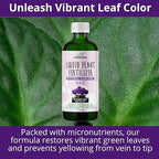 3-1-2 African Violet Fertilizer for Indoor Plants: Liquid Fertilizer with Essential Micronutrients Drops - Plant Food for African Violets (32 OZ)