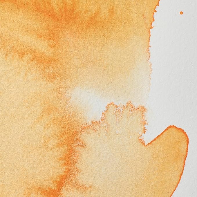 Winsor & Newton Professional Water Colour Paint, Half Pan, Cadmium Orange