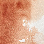 Winsor & Newton Professional Water Colour Paint, Half Pan, Burnt Sienna