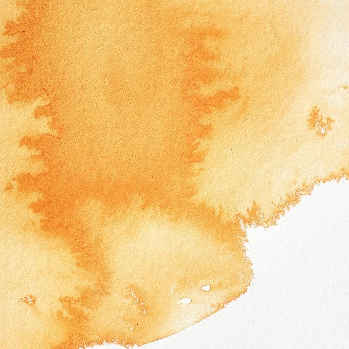 Winsor & Newton Professional Watercolor, 14ml (0.47-oz) Tube, Winsor Orange