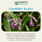 Comfrey Oil Raw with Sunflower Oil, Infused, Pressed Herbal Remedy, Support for Bruises, Sore Muscles, and Healthy Skin, Organic Skincare for All Skin Types - 1 fl oz