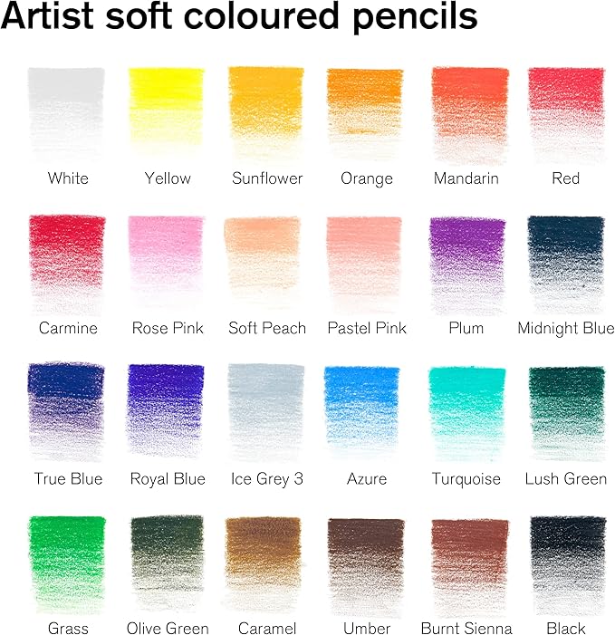 Winsor & Newton Studio Collection Artist Pencils, Color Pencils, Set of 24