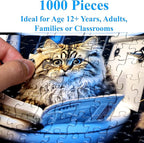 Think2Master Pooping Cats & Kittens 1000 Pieces Jigsaw Puzzle. Perfect Bathroom Decoration, Gag Gift. Fun for Teens, Seniors & Families. Great Gift for Kids Ages 13+. Size: 26.8” x 18.9”