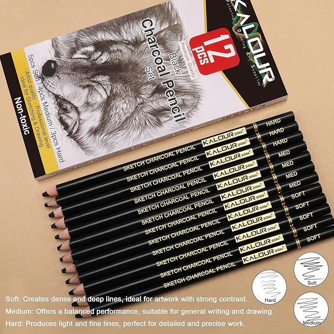 KALOUR Professional Charcoal Pencils Drawing Set -12 Pieces Soft, Medium and Hard Charcoal Pencils for Drawing, Sketching, Shading, Artist Pencils for Beginners & Artists
