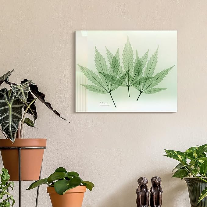 Empire Art Direct Frameless Free Floating Tempered Glass Panel Graphic Wall Art Ready to Hang, 16" x 20", Green Flower