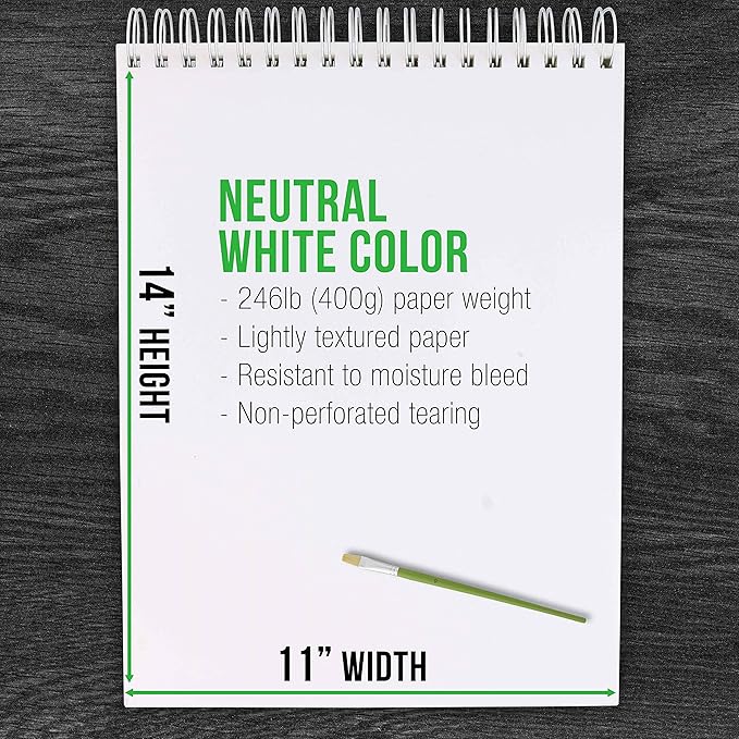 U.S. Art Supply 9x12 Premium Heavy-Weight Acrylic Painting Paper Pad, 246lb (400gsm), 2 Pack, 12 Sheets, Spiral Bound, for Acrylic Paint